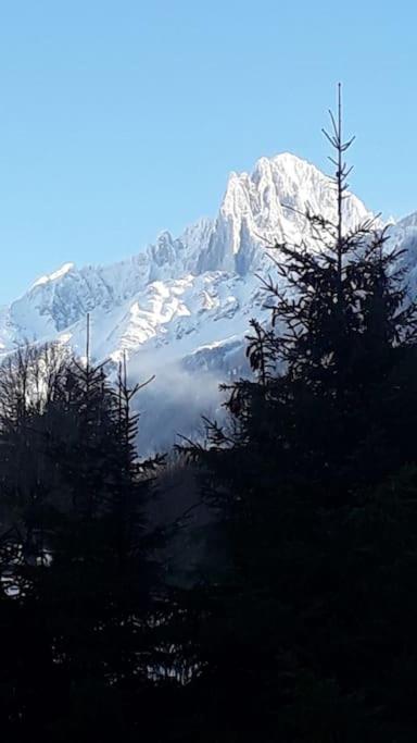 Les Charmilles - Vallee De Chamonix - 5 *