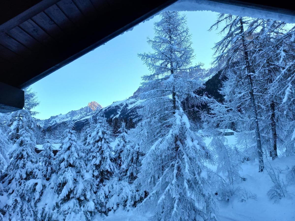 Les Charmilles - Vallee De Chamonix - 5 Les Houches